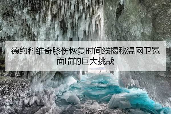 德约科维奇膝伤恢复时间线揭秘温网卫冕面临的巨大挑战